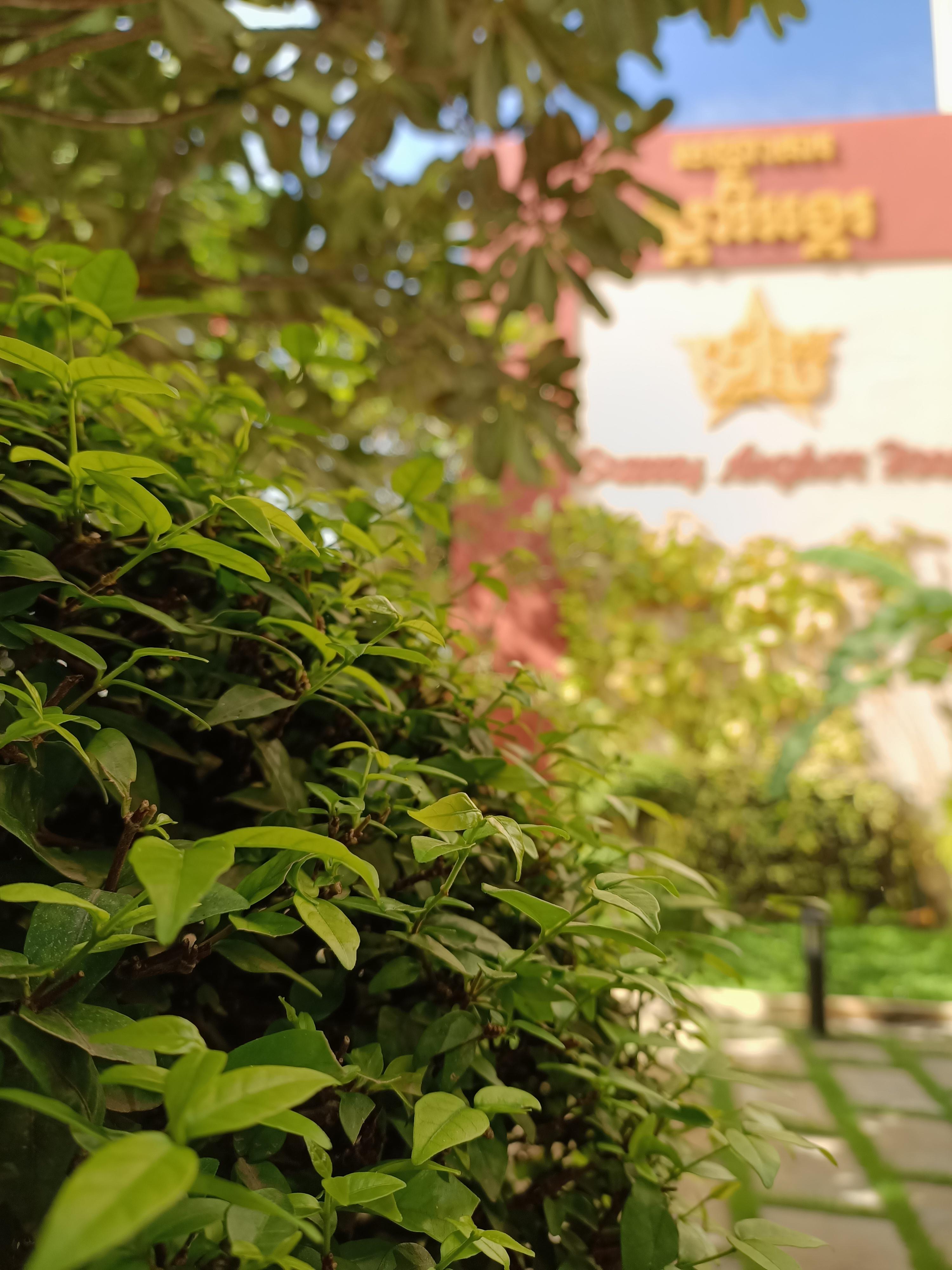 Starry Angkor Hotel Σιέμ Ρέαπ Εξωτερικό φωτογραφία