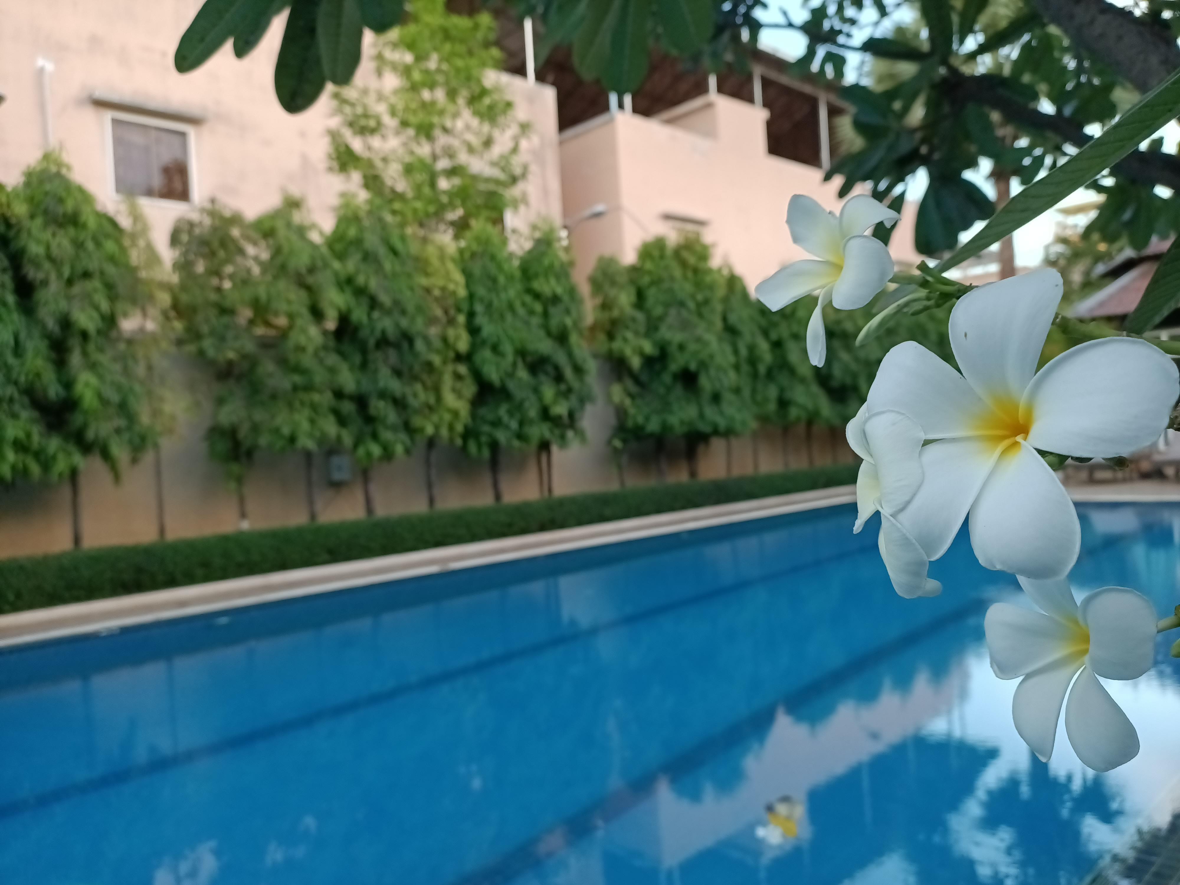 Starry Angkor Hotel Σιέμ Ρέαπ Εξωτερικό φωτογραφία