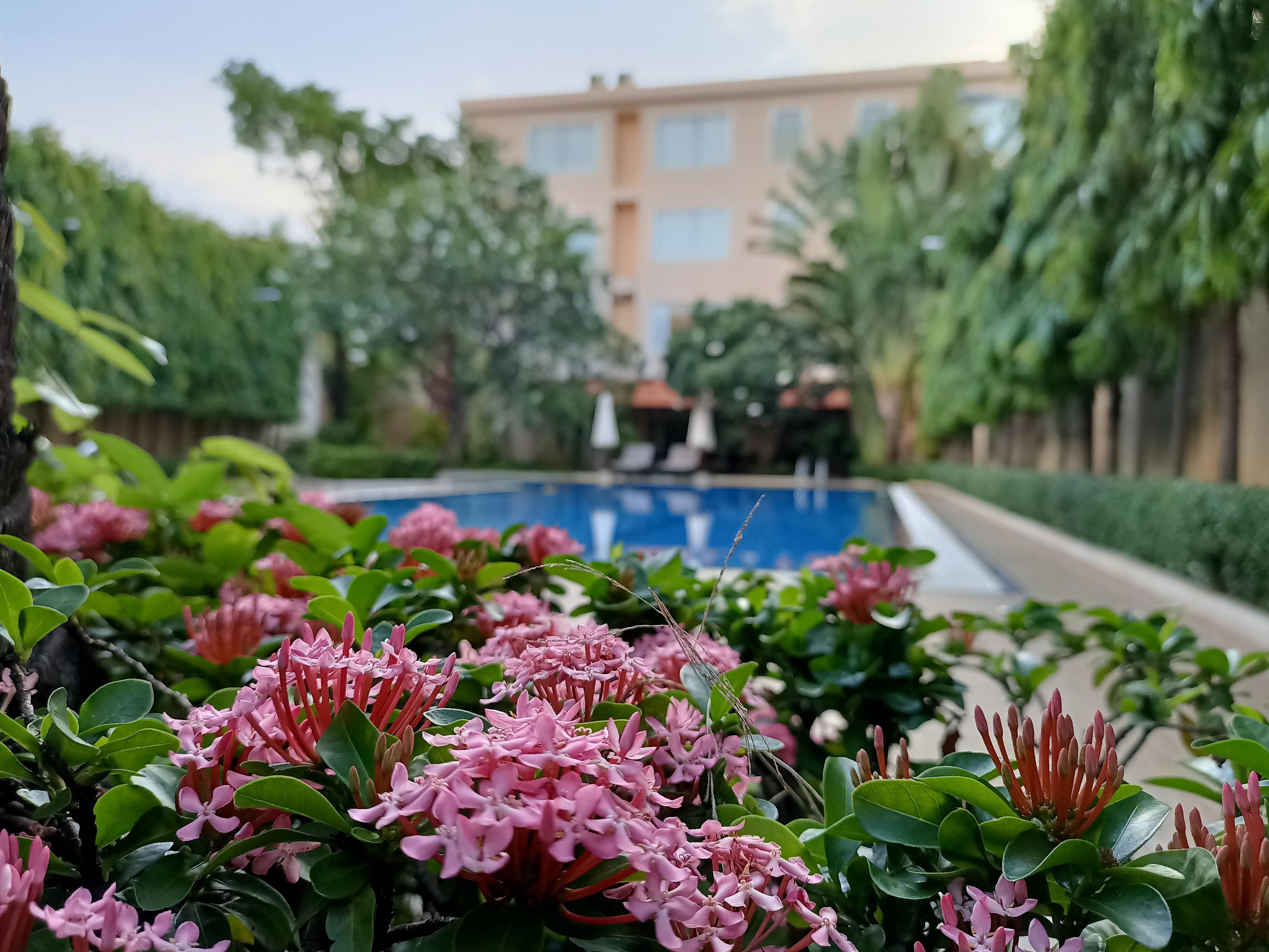 Starry Angkor Hotel Σιέμ Ρέαπ Εξωτερικό φωτογραφία